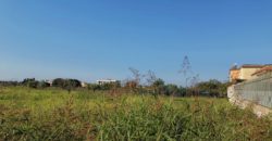 TERRENO AGRICOLO 1.300MQ VARCATURO R37985