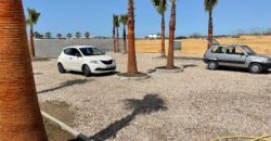 BILOCALE IN AFFITTO ARREDATO LICOLA-VIA DEL MARE R37839