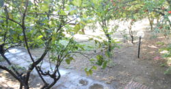 VILLA PANORAMICA 2 LIVELLI CON AMPIO GIARDINO IN VIA LICOLA PATRIA POZZUOLI R28184