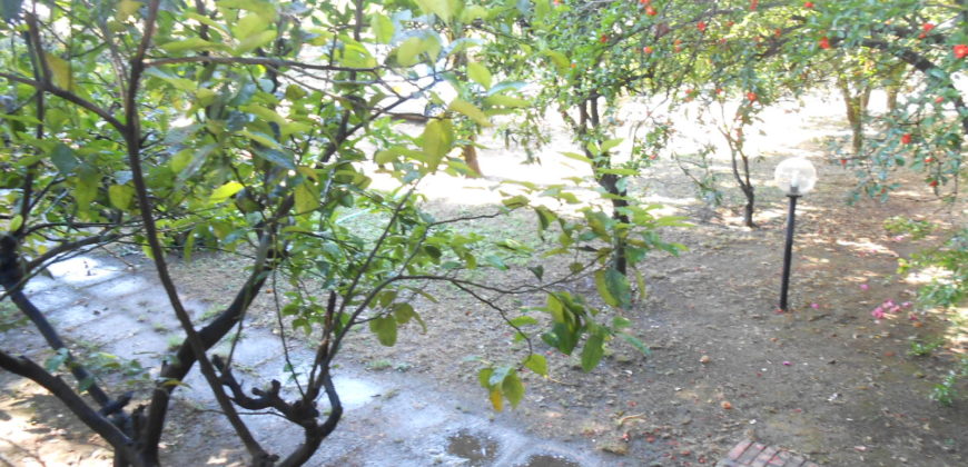 VILLA PANORAMICA 2 LIVELLI CON AMPIO GIARDINO IN VIA LICOLA PATRIA POZZUOLI R28184