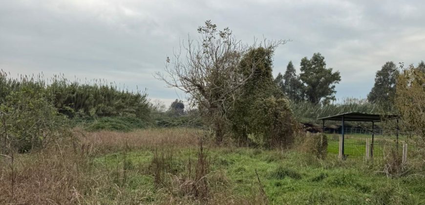 TERRENO CON FABBRICATO Varcaturo