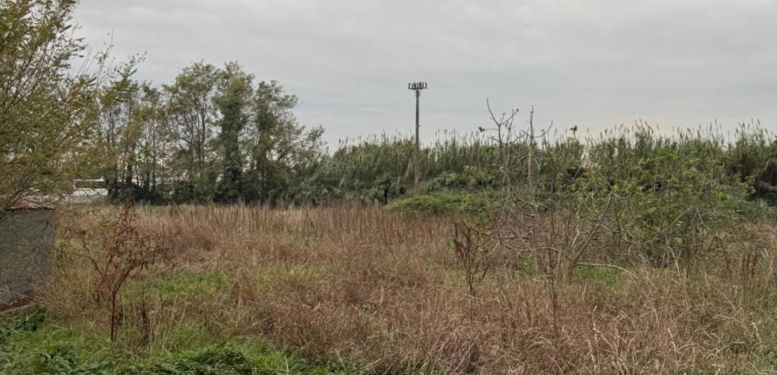 TERRENO CON FABBRICATO Varcaturo