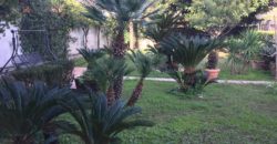 SOLUZIONE USO INVESTIMENTO APPARTAMENTO CON GIARDINO Pozzuoli-Arco Felice