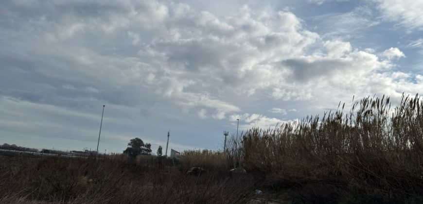 TERRENO AGRICOLO 2500 MQ Lago Patria