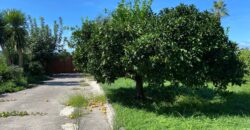 AMPIA SOLUZIONE PER DUE FAMIGLIE Licola-Via Vicinale Festinese