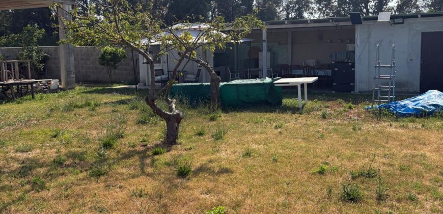 TERRENO AGRICOLO Licola-Via Masseria Vecchia