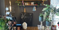 CESSIONE ATTIVITA’ PUB/BRACERIA Aversa-Viale Kennedy