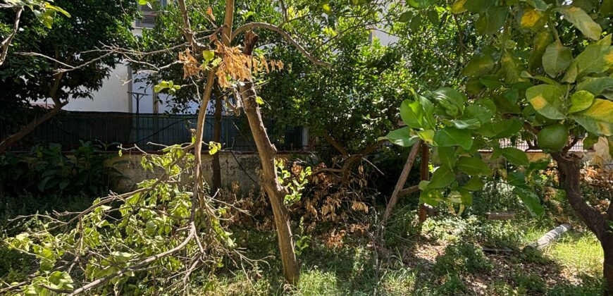 VILLA DIVISA IN DUE APPARTAMENTI Varcaturo