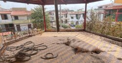 INTERO STABILE 500MQ Castel Volturno-Baia Verde