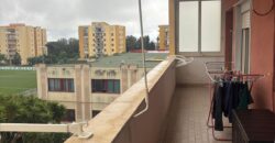 APPARTAMENTO PAMORAMICO 120 MQ Monterusciello-P.co Verbena