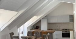 MANSARDA NUOVA COSTRUZIONE IN PARCO Varcaturo MANSARDA NUOVA COSTRUZIONE IN PARCO Varcaturo