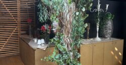 CESSIONE ATTIVITA’ BAR Aversa-Via Salvo D’Acquisto