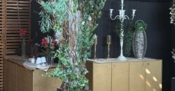 CESSIONE ATTIVITA’ BAR Aversa-Via Salvo D’Acquisto
