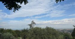 CESSIONE ATTIVITA’ RISTORANTE Montrusciello
