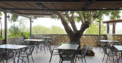CESSIONE ATTIVITA’ RISTORANTE Montrusciello