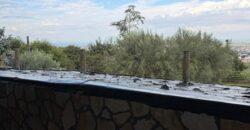 CESSIONE ATTIVITA’ RISTORANTE Montrusciello