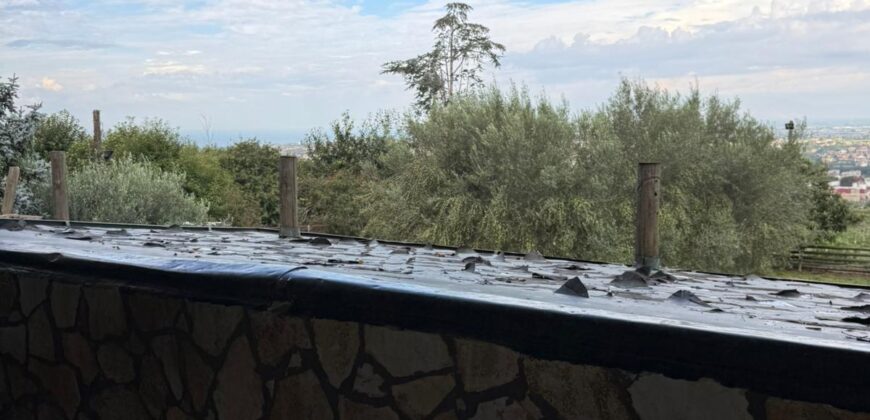 CESSIONE ATTIVITA’ RISTORANTE Montrusciello