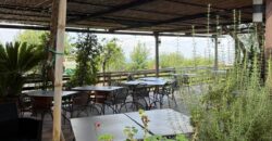 CESSIONE ATTIVITA’ RISTORANTE Montrusciello