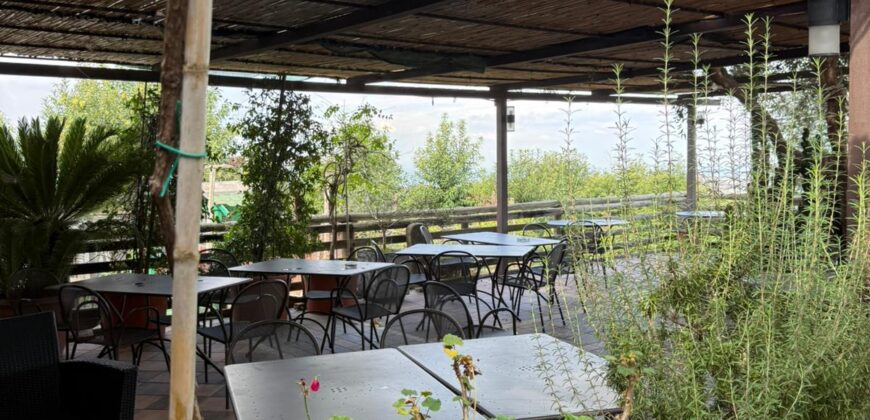 CESSIONE ATTIVITA’ RISTORANTE Montrusciello