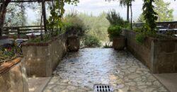CESSIONE ATTIVITA’ RISTORANTE Montrusciello
