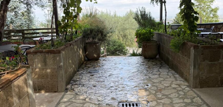 CESSIONE ATTIVITA’ RISTORANTE Montrusciello