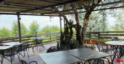 CESSIONE ATTIVITA’ RISTORANTE Montrusciello