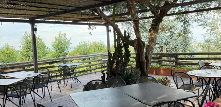 CESSIONE ATTIVITA’ RISTORANTE Montrusciello