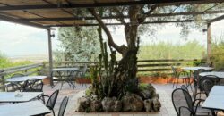 CESSIONE ATTIVITA’ RISTORANTE Montrusciello