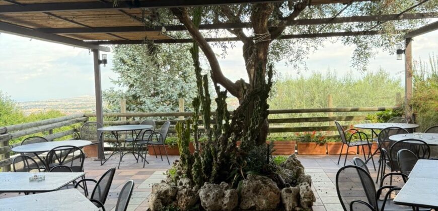 CESSIONE ATTIVITA’ RISTORANTE Montrusciello