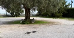 CESSIONE ATTIVITA’ RISTORANTE Montrusciello