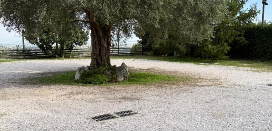 CESSIONE ATTIVITA’ RISTORANTE Montrusciello