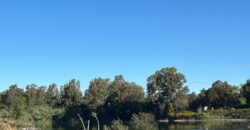 TERRENO ADIFICABILE CON LAGO PRIVATO Castel Volturno
