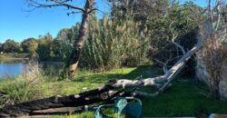 TERRENO ADIFICABILE CON LAGO PRIVATO Castel Volturno