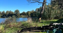 TERRENO ADIFICABILE CON LAGO PRIVATO Castel Volturno