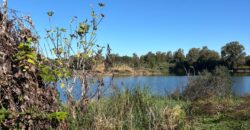 TERRENO ADIFICABILE CON LAGO PRIVATO Castel Volturno