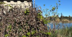 TERRENO ADIFICABILE CON LAGO PRIVATO Castel Volturno