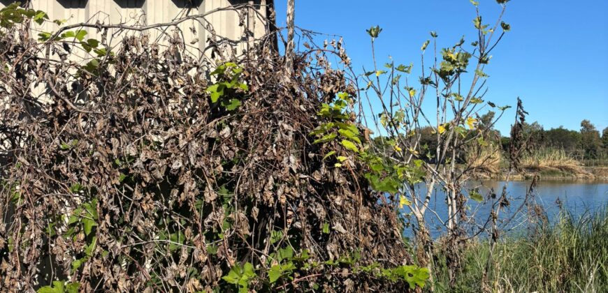 TERRENO ADIFICABILE CON LAGO PRIVATO Castel Volturno
