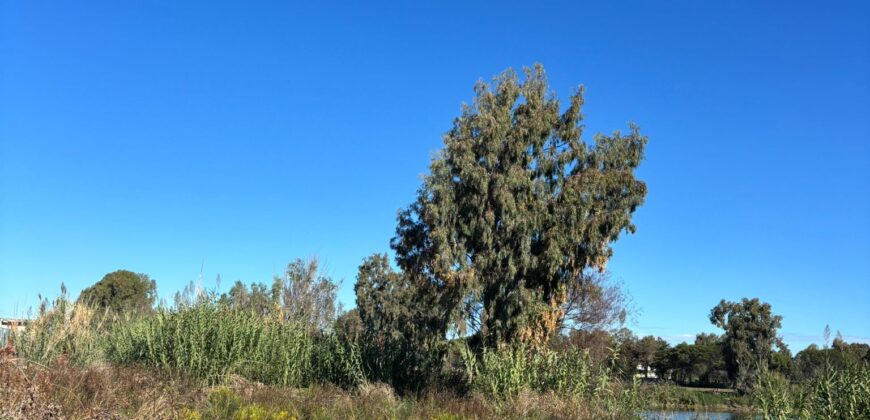 TERRENO ADIFICABILE CON LAGO PRIVATO Castel Volturno