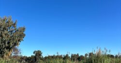 TERRENO ADIFICABILE CON LAGO PRIVATO Castel Volturno