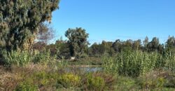 TERRENO ADIFICABILE CON LAGO PRIVATO Castel Volturno