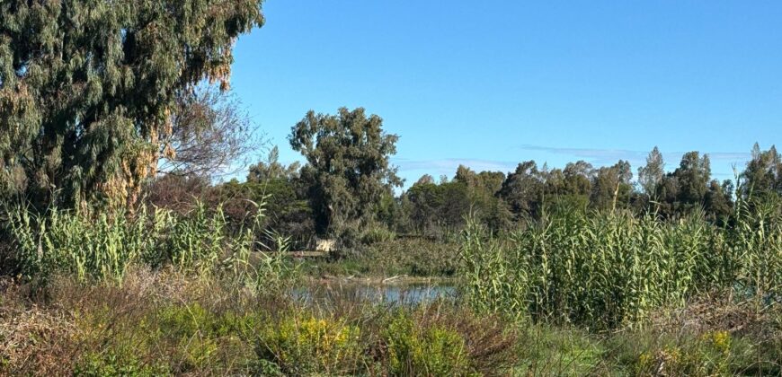 TERRENO ADIFICABILE CON LAGO PRIVATO Castel Volturno