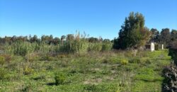 TERRENO ADIFICABILE CON LAGO PRIVATO Castel Volturno