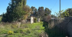 TERRENO ADIFICABILE CON LAGO PRIVATO Castel Volturno