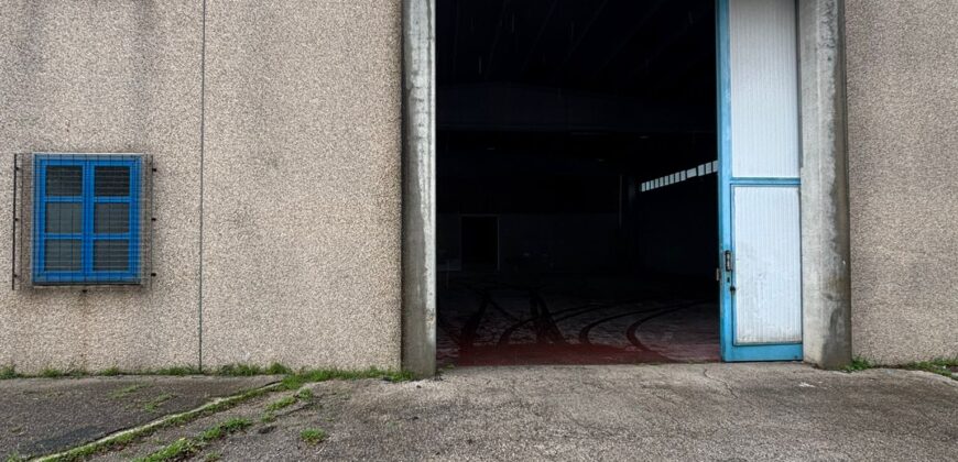 CAPANNONE 1000 MQ Castel Volturno