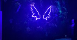 CESSIONE ATTIVITA’ Discoteca Lago Patria