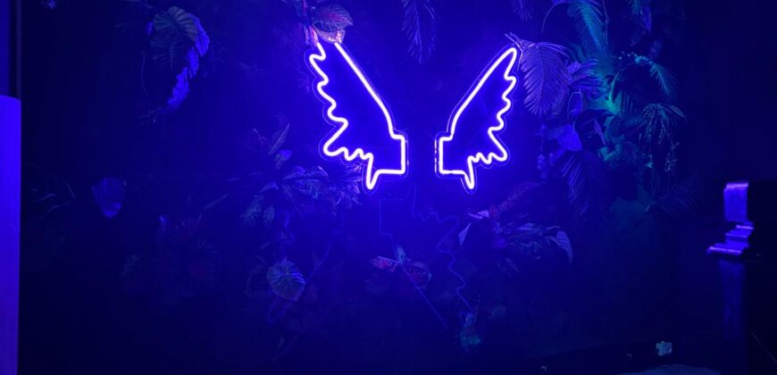 CESSIONE ATTIVITA’ Discoteca Lago Patria