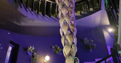 CESSIONE ATTIVITA’ Discoteca Lago Patria