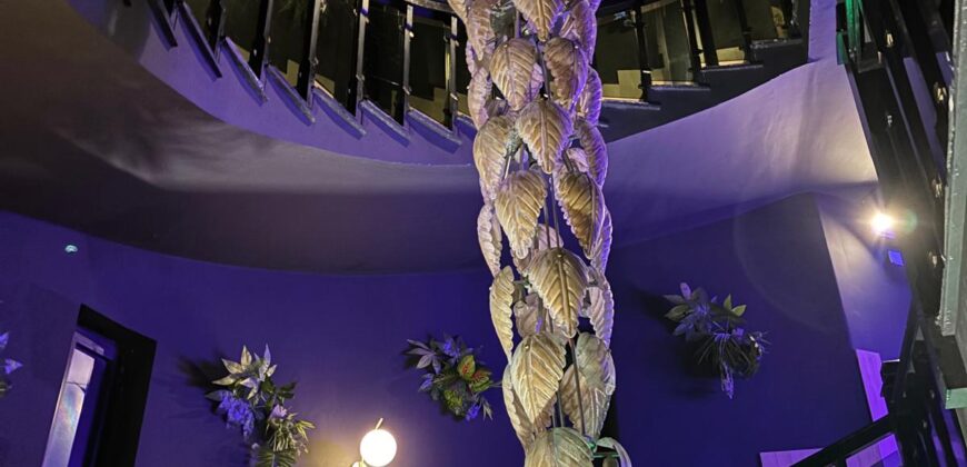 CESSIONE ATTIVITA’ Discoteca Lago Patria