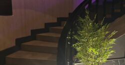 CESSIONE ATTIVITA’ Discoteca Lago Patria