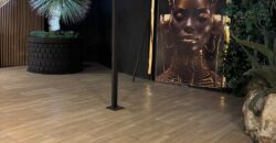 CESSIONE ATTIVITA’ Discoteca Lago Patria